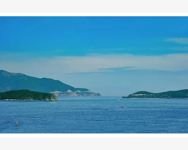 发烧上火吃什么好？中医科普揭秘，为您解疑惑！